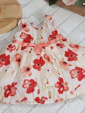 Blueberi Boulevard Floral Dress in Pink and Red